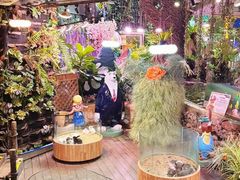 -正佳雨林生态植物园