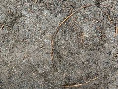 景点-毕棚沟景区