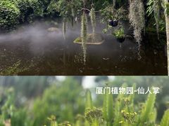 -鼓浪屿