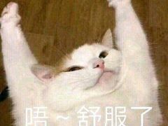 -CoCo都可(铁西万达店)