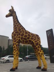 -大望京儿童游乐场