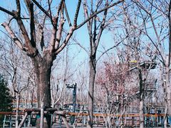 -东郊湿地公园