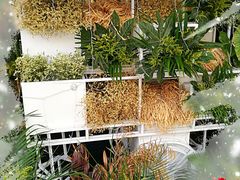 -植物学家的女儿(北马道巷店)