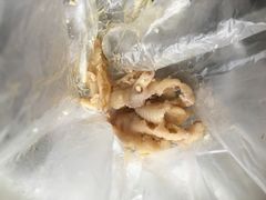 -震九州熟食(凯旋路店)
