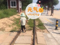 -南戴河国际娱乐中心