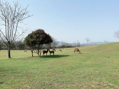 -良渚古城遗址公园