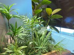 -太二酸菜鱼(天鹅湖万达店)