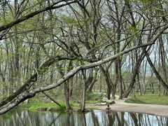 -西溪南古村落景区