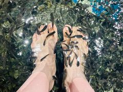 -弘安丽水温泉酒店