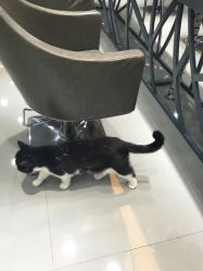 -和良形象