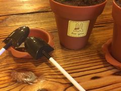 -闯关东东北农家菜(崂山石老人店)