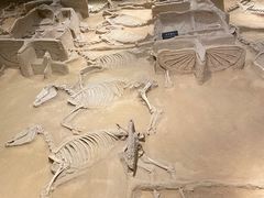 -洛阳周王城天子驾六博物馆