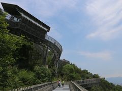 -福道