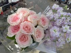 -花鸟鱼虫鲜花绿植市场(玉泉路店)