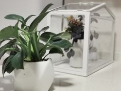 -L•野生眉半永久纹眉纹绣