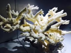 -福州罗源湾海洋世界旅游区