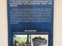 -延庆地质公园博物馆