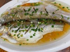 太湖清蒸白鱼-呼吸森林·生态农庄农家乐私房菜