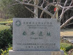 -上海崧泽遗址博物馆