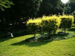 -晓港公园