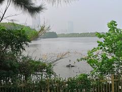 -艾溪湖湿地公园