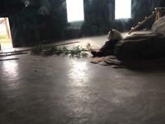 -临沂动植物园