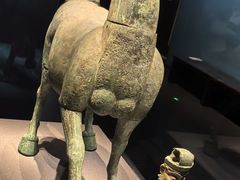 -广西壮族自治区博物馆