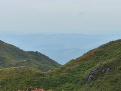 -大围山国家森林公园