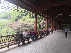 -重庆彩云湖湿地公园