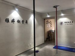 -柯宏＆雅婷塑形钢管舞蹈