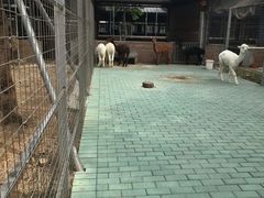 -迪茵湖田家舍生态农场