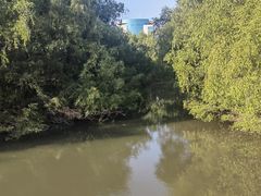 -大亚湾红树林城市湿地公园