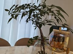 -京城小江南·北京烤鸭·江南土菜·白鱼(中关村店)