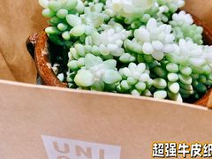 -优衣库(深圳万象天地旗舰店)