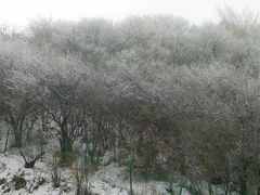 -秦岭风景区