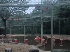 -石家庄市动物园