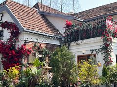 -弗兰克牛排西餐厅Ribone steak house(柠檬花园店)