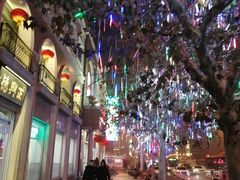 -芦庄子桂顺斋(和平路总店)