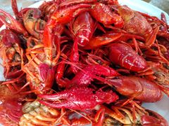 清蒸大虾-五七小李子油焖大虾(总店)