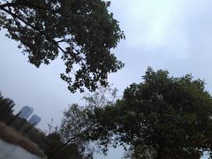 -艾溪湖湿地公园