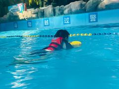 -青岛东方影都融创水世界