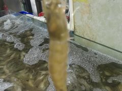 -87号烧烤海鲜·大排档(金沙滩店)