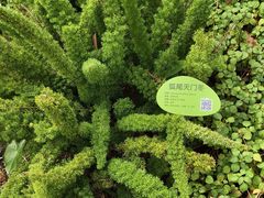 -云溪植物园