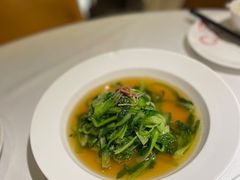 -圆苑(金茂店)