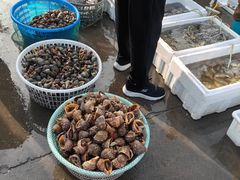 -77号渔船·蒸海鲜青岛菜(积米崖店)