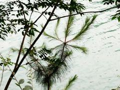 -石燕湖生态旅游景区