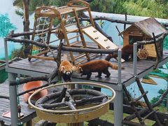 -西霞口神雕山野生动物世界