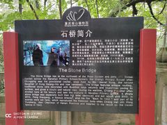 -南山植物园