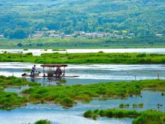-腾冲北海湿地