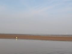 -翡翠岛